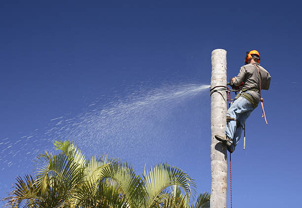 Mulching Services in Rosebud, TX